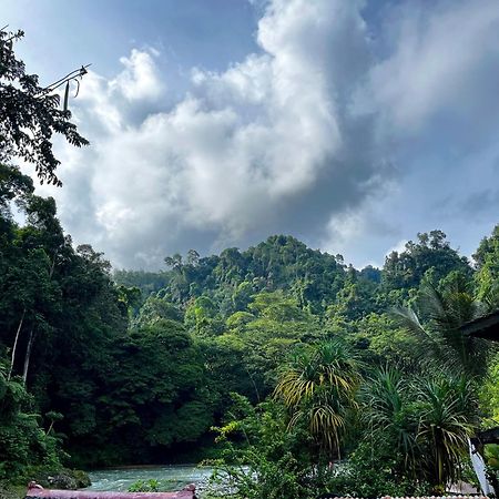 Hotel Charlys Little House Bukit Lawang Exterior foto
