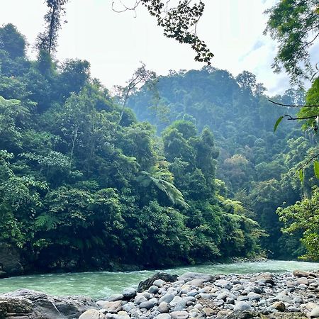 Hotel Charlys Little House Bukit Lawang Exterior foto