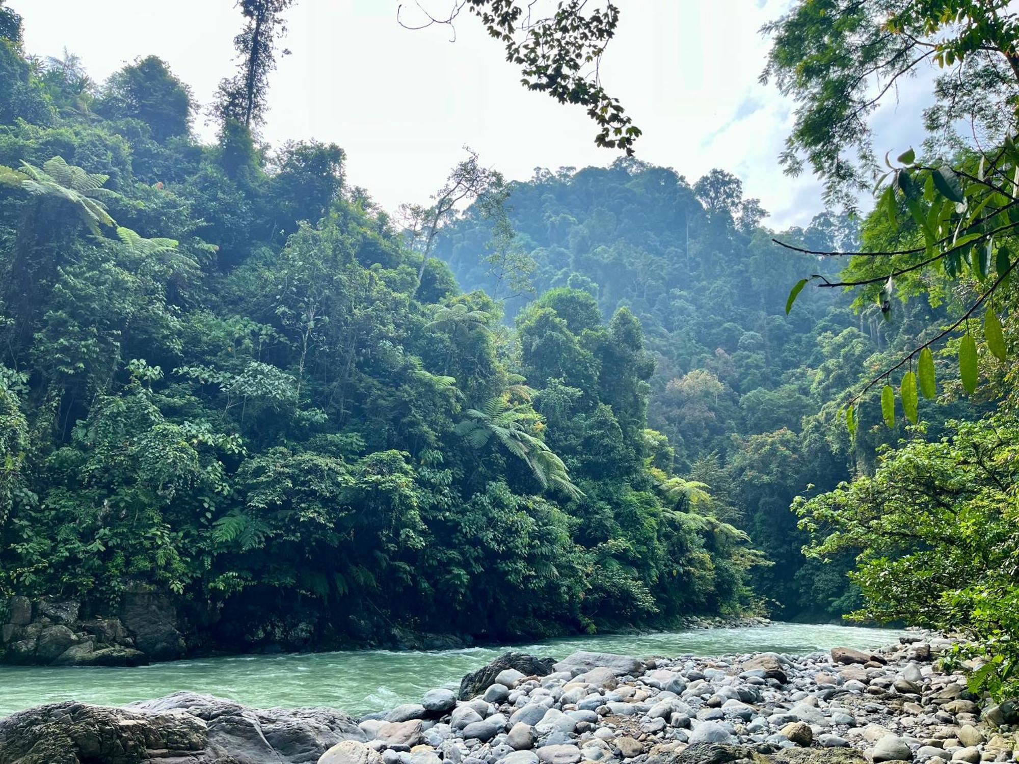Hotel Charlys Little House Bukit Lawang Exterior foto