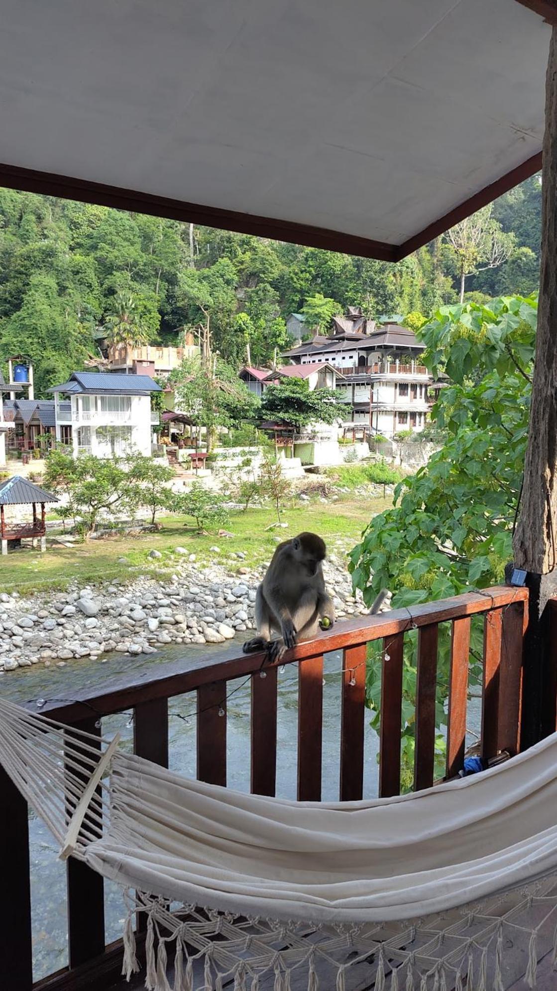 Hotel Charlys Little House Bukit Lawang Exterior foto